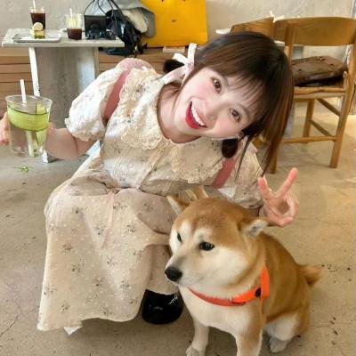 经典口碑
